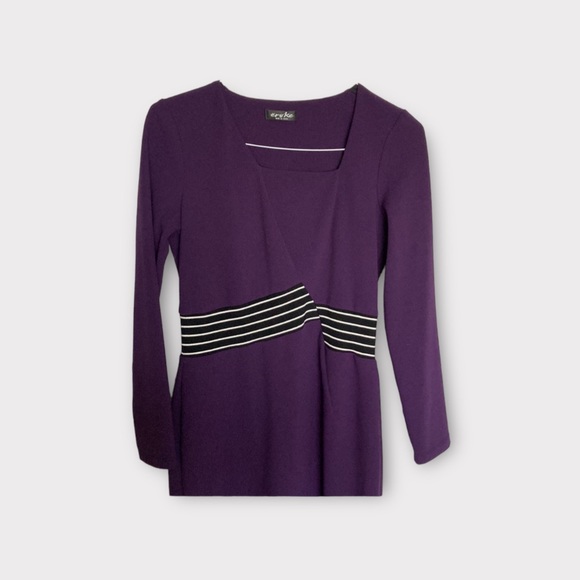 NWOT Eroke Italy Maroon Stretch Dress, Long Sleeve, Striped, Size 10, Lined - Picture 3 of 9